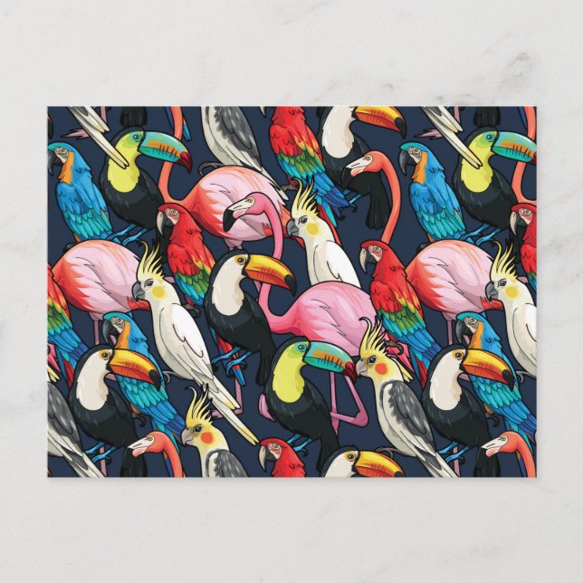 Carte Postale Oiseaux exotiques (Devant)