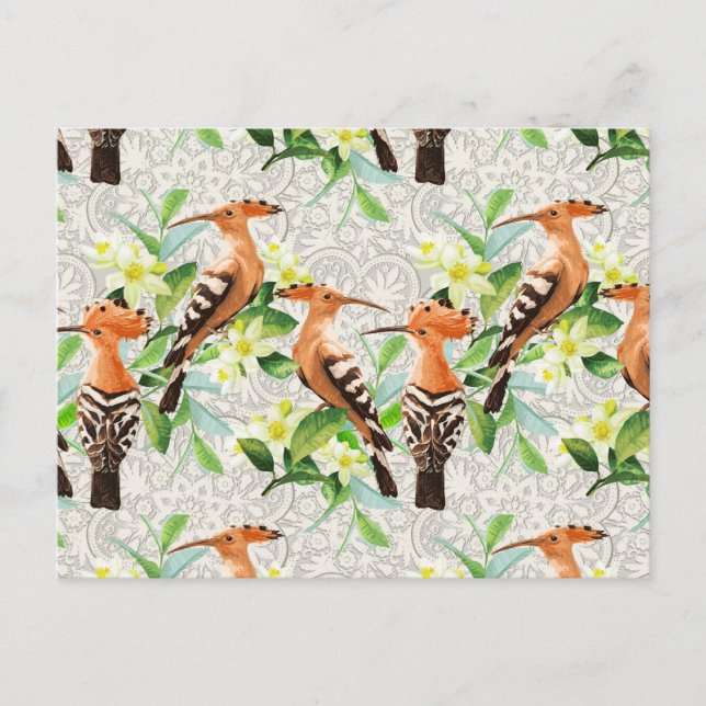 Carte Postale Oiseaux Exotiques Sur La Dentelle (Devant)