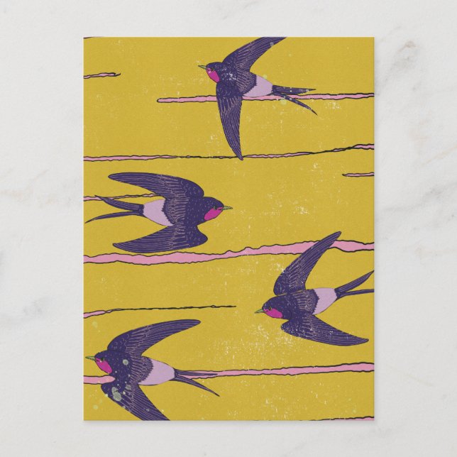 Carte Postale Oiseaux hirondelles (Devant)