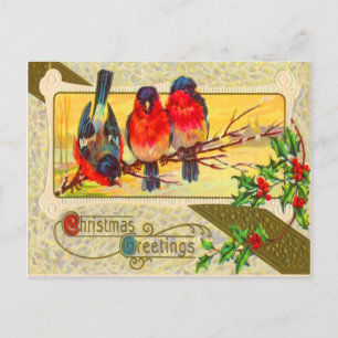 Carte Postale Oiseaux & Holly