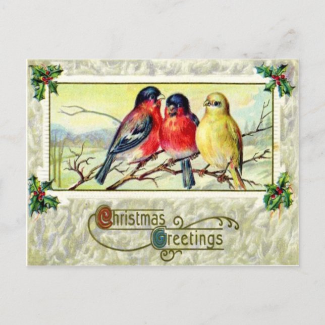 Carte Postale Oiseaux & Holly (Devant)