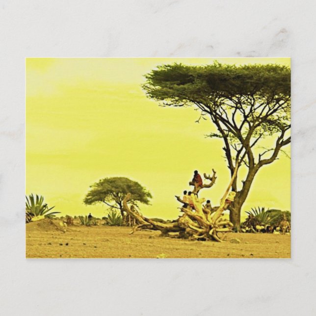 Carte Postale Oiseaux humains Afrique (Devant)
