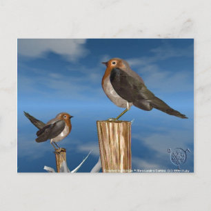 CARTE POSTALE OISEAUX HYPER / ROBIN BREAST ROUGE