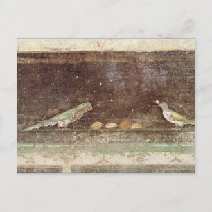 Carte Postale Oiseaux mangeant des noix