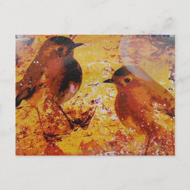 Carte Postale Oiseaux Médias Mixtes (Devant)