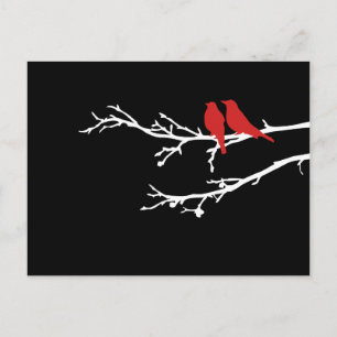 Carte Postale oiseaux moisis