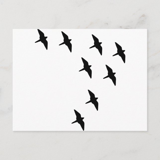 Carte Postale oiseaux noirs (Devant)