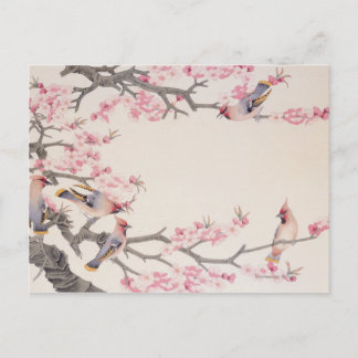 Carte Postale Oiseaux qui chantent au printemps