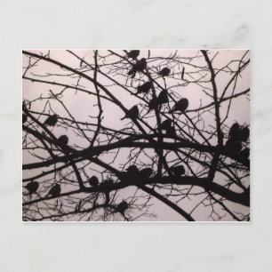 Carte Postale Oiseaux Silhouettes.jpg