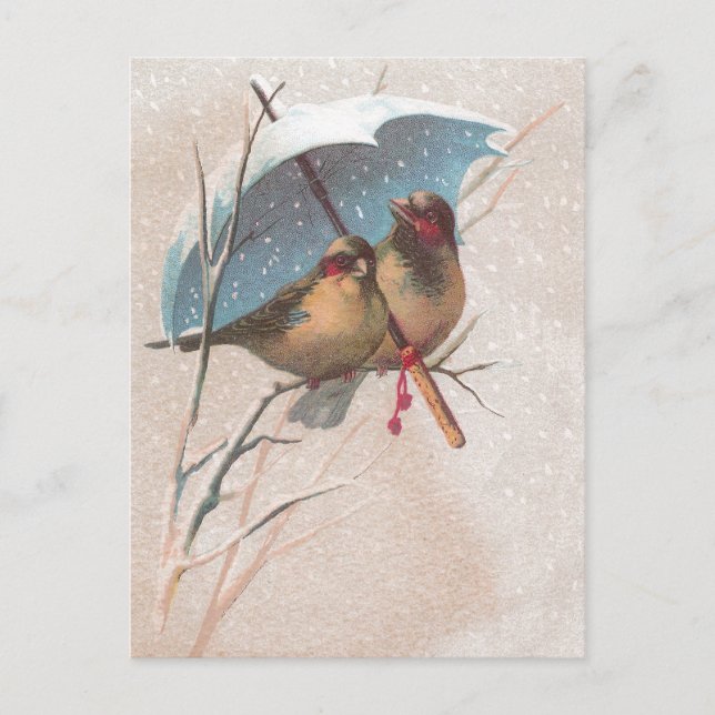 Carte Postale Oiseaux sous le parapluie bleu (Devant)