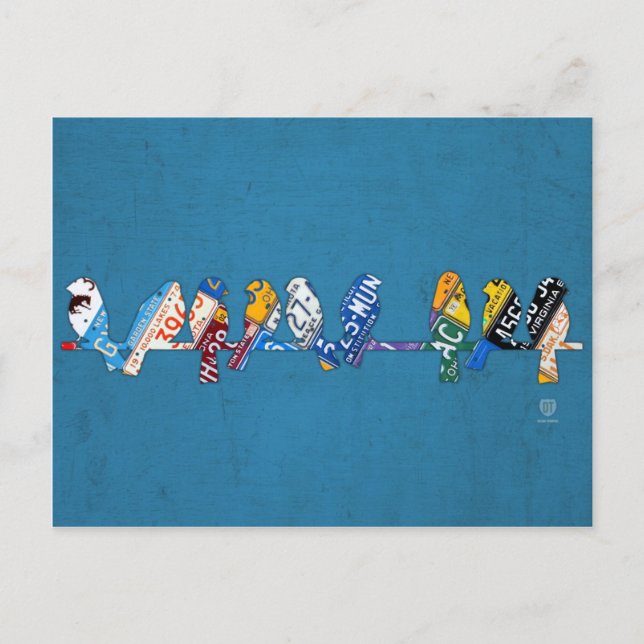Carte postale Oiseaux sur plaque de permis de fil (Devant)