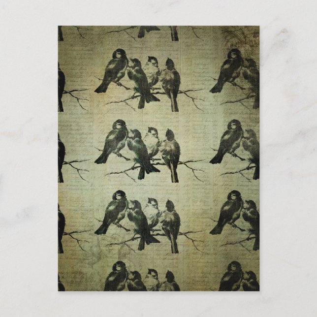 Carte Postale Oiseaux sur un Arrière - plan de succursale (Devant)