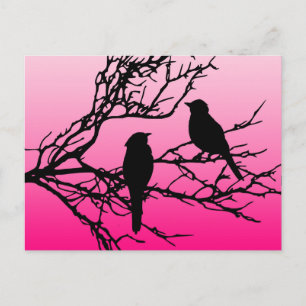Carte Postale Oiseaux sur une branche, Noir contre Aube Rose