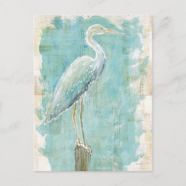 Carte Postale Oiseaux tropicaux | Aigt fixe (Devant)