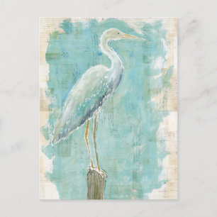 Carte Postale Oiseaux tropicaux Aigt fixe