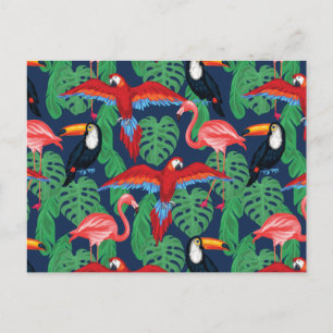 Carte Postale Oiseaux Tropicaux Aux Couleurs Lumineuses