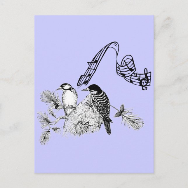 Carte Postale Oiseaux Vintage (Devant)