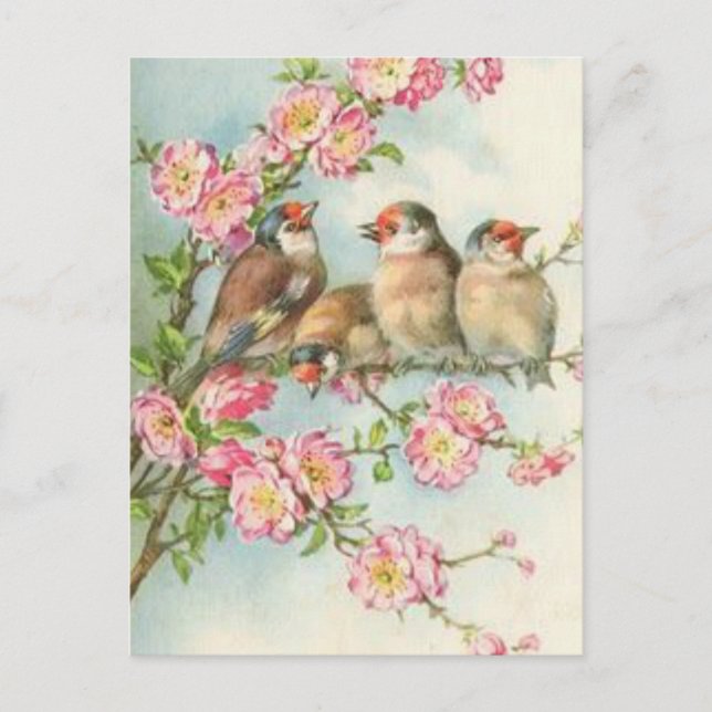Carte Postale Oiseaux vintages (Devant)