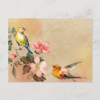Carte postale Oiseaux vintages