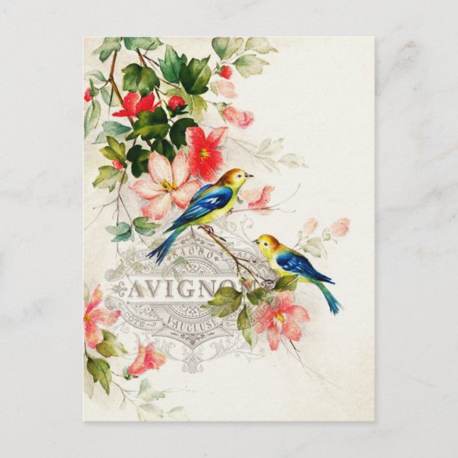 Carte Postale Oiseaux vintages Design français (Devant)