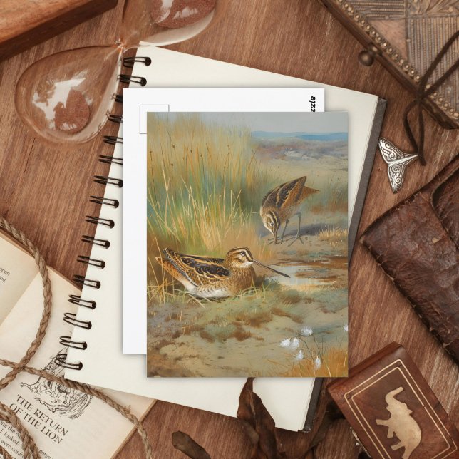 Carte Postale Oiseaux vintages illustrés, Oiseaux (Créateur téléchargé)