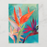 Oiseaux vivants du paradis