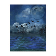 Oiseaux volant la nuit