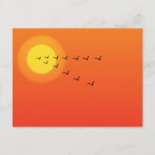 Carte Postale Oiseaux volant vers le soleil