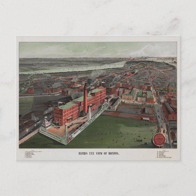 Carte Postale Oiseaux Vue oeil de Boston (Devant)