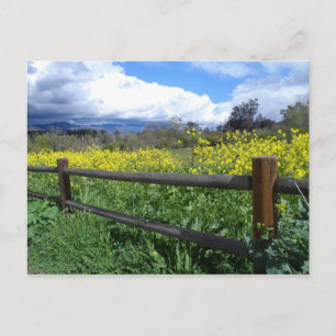 Carte Postale Ojai Meadows