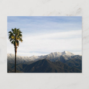 Carte Postale Ojai Palm