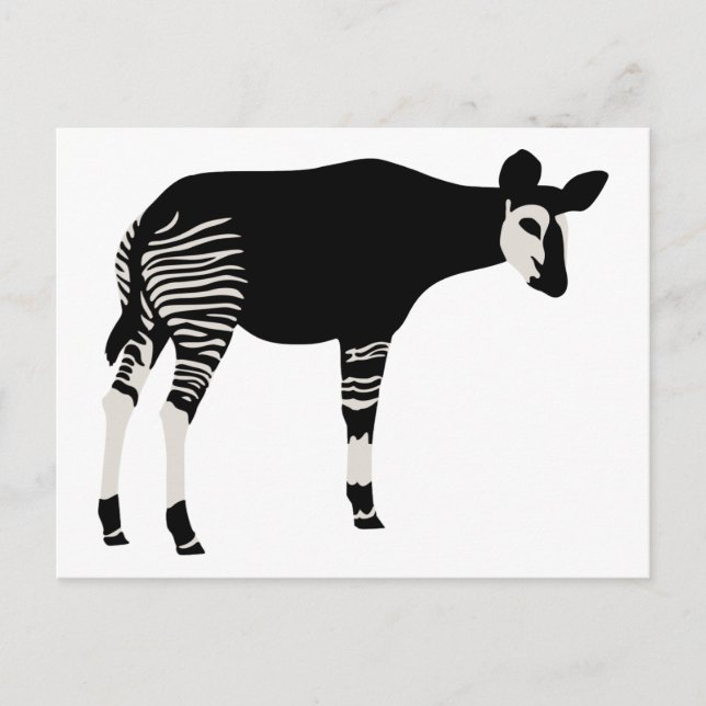 Carte Postale Okapi (Devant)