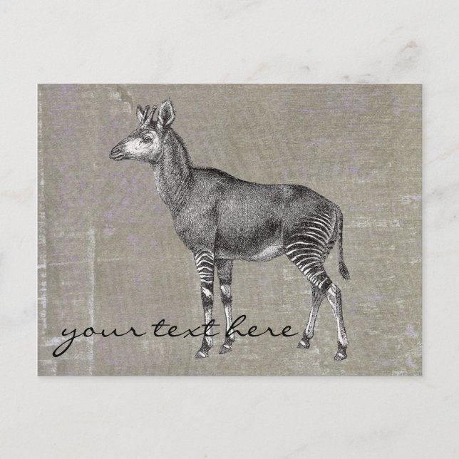 Carte Postale Okapi vintage (Devant)