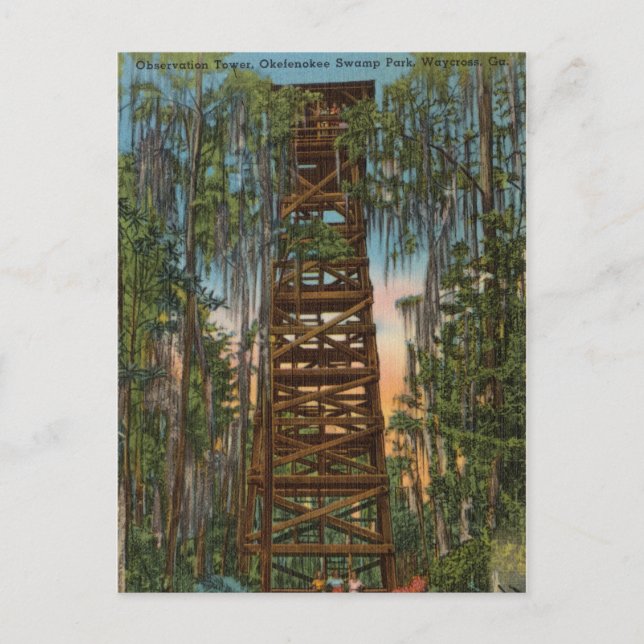 Carte Postale Okelenokee Swamp Park, Waycross, Géorgie (Devant)