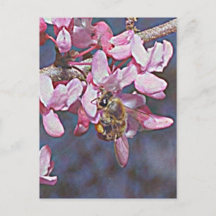 Carte Postale Oklahoma Redbud et Honeybee