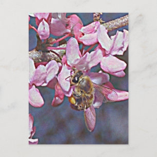 Carte Postale Oklahoma Redbud et Honeybee