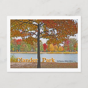 Carte Postale Olander Park, Sylvania, Ohio USA/Automne Colonnes
