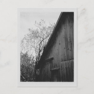 Carte postale Old Barn