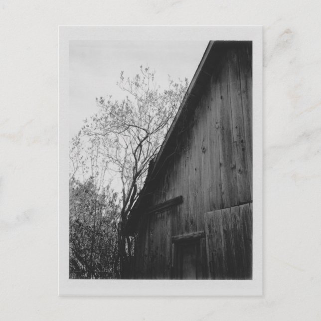 Carte postale Old Barn (Devant)