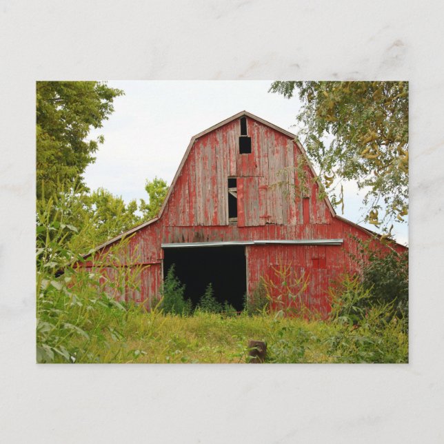 Carte postale Old Barn (Devant)