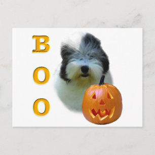 Carte Postale Old English Sheepdog Boo
