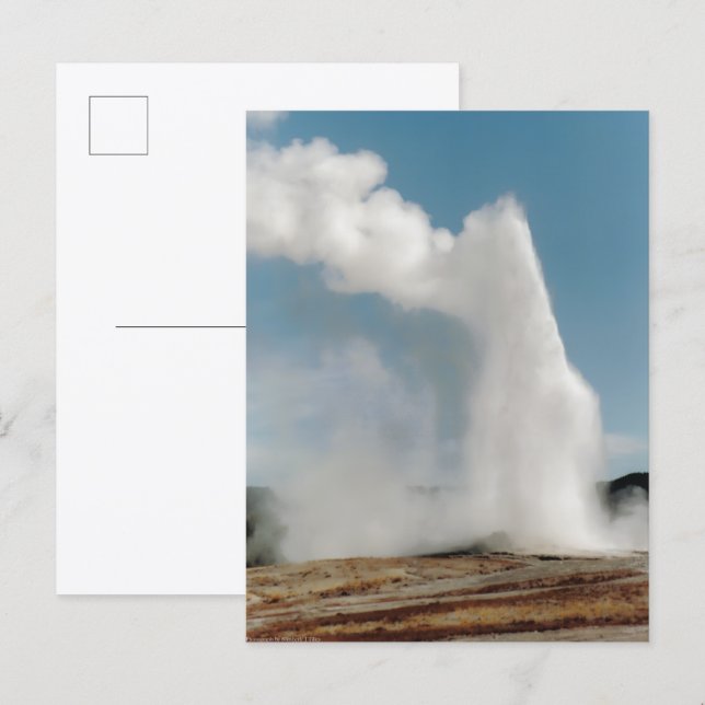 Carte Postale Old Faithful 2009 (Devant / Derrière)