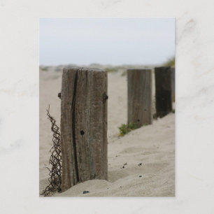 Carte Postale Old Fence Poles