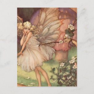 Carte Postale « Old Mother Bramble » par Florence Anderson