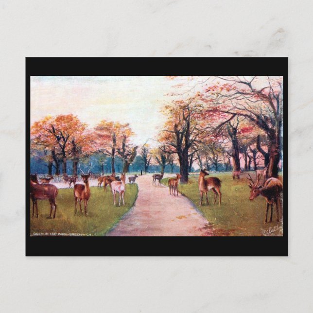 Carte Postale Old Postcard - Greenwich Park, Londres (Devant)