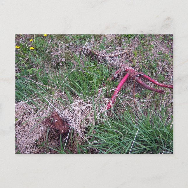 Carte postale Old Red Bike (Devant)