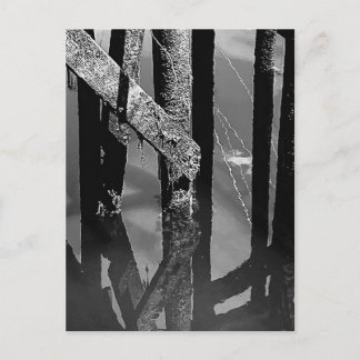 Carte Postale Old Wharf Pier Barnacle Beams Pilings Post Card