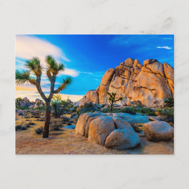 Carte Postale Old Woman Rock - Parc national de Joshua Tree (Devant)
