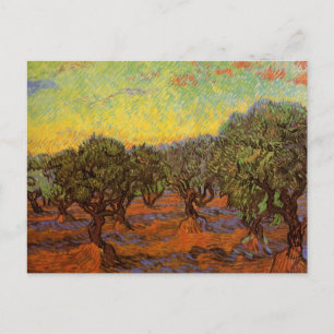 Carte Postale Olive Grove, Ciel orange par Vincent van Gogh