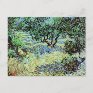 Carte Postale Olive Grove, Vincent van Gogh
